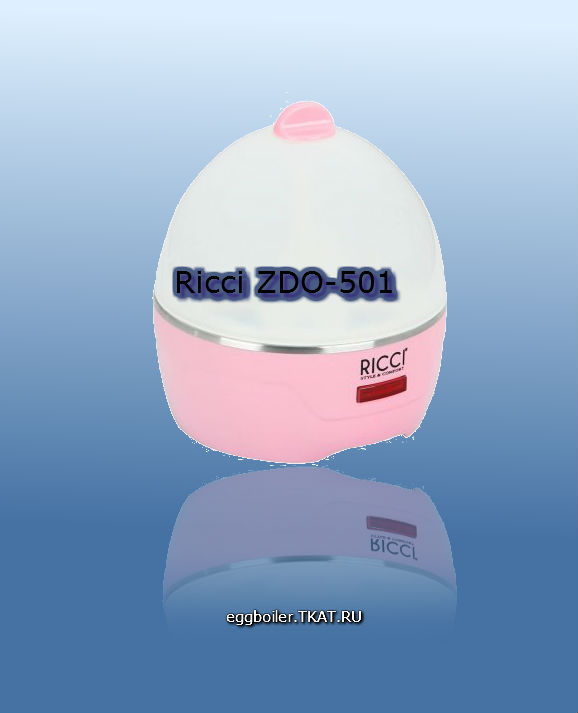 RICCI ZDQ 501